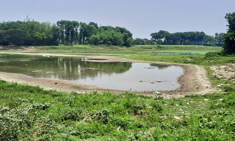 দৌলতপুরে লিজ ছাড়াই সরকারি দহ দখল করে মাছ চাষের অভিযোগ