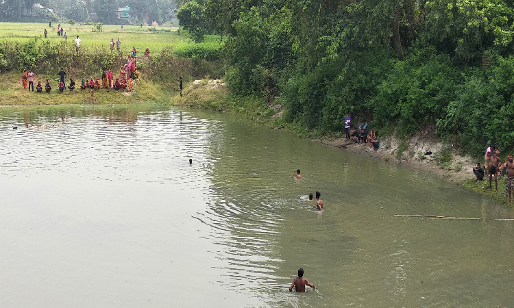 বাসাইলে পুকুরের পানিতে ডুবে নারীর মৃত্যু