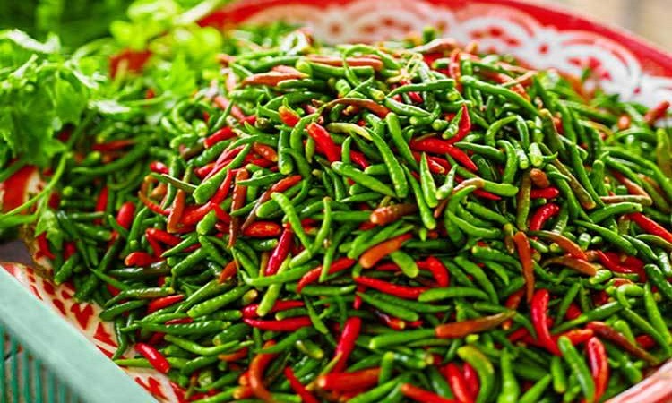 কাঁচা মরিচ দীর্ঘদিন সংরক্ষণ রাখার উপায়