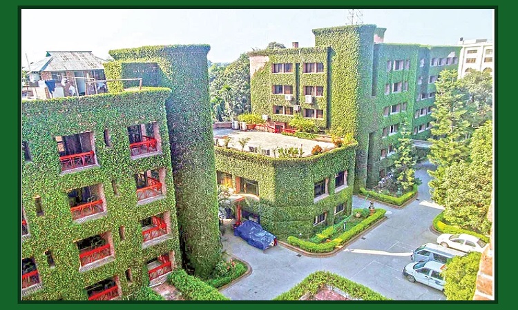 ভবনের দেয়ালজুড়ে সবুজ গাছ-লতা!