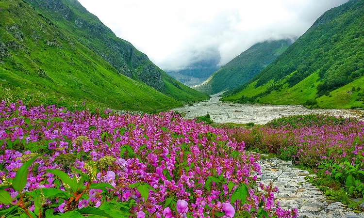 ভ্যালি অফ ফ্লাওয়ার্স