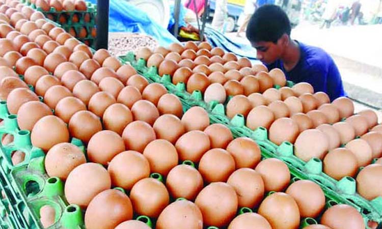 দামের লাগাম টানতে ডিম আমদানির অনুমোদন