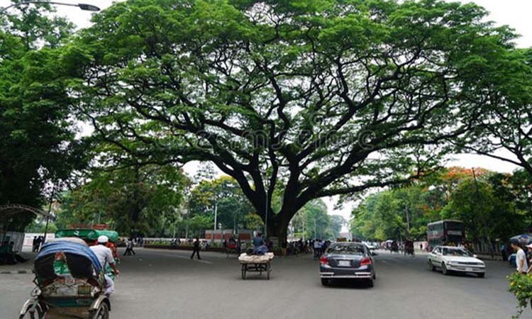 বায়ু দূষণের শীর্ষে জাকার্তা, মান ভালো ঢাকার