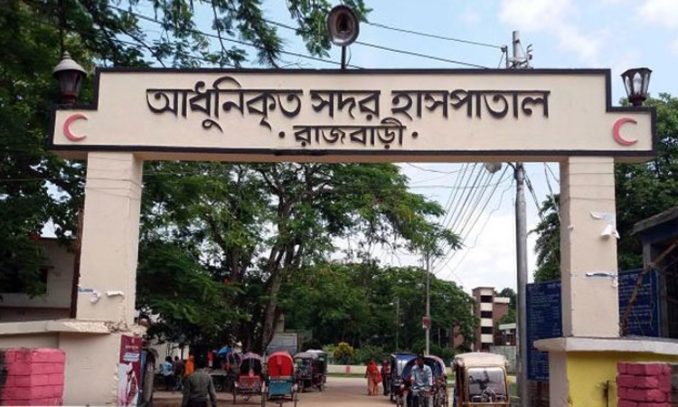 রাজবাড়ীতে গত ৭ দিনে ডেঙ্গু জ্বরে আক্রান্ত  ২৯০