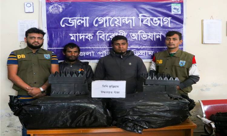 কুড়িগ্রামে গাঁজাসহ দুই মাদককারবারি গ্রেফতার