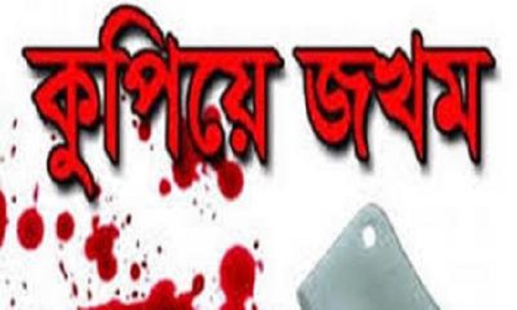 ঝিনাইদহে গাছ কাটাকে কেন্দ্র করে ৪ জনকে কুপিয়ে জখম