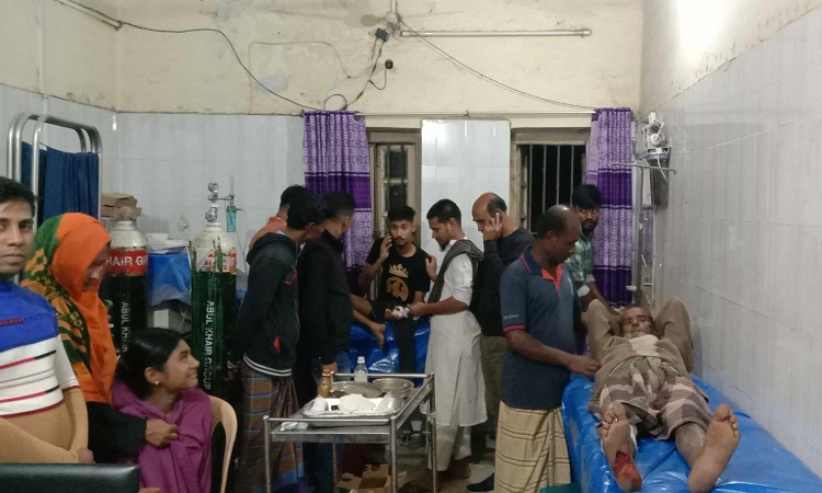 টাঙ্গাইলে শিয়ালের কামড়ে শিশুসহ আহত ৫