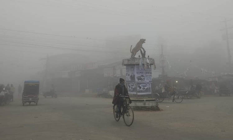 শীতে কাঁপছে কুয়াশায় মোড়ানো চুয়াডাঙ্গা