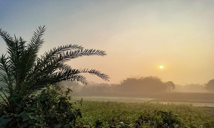 সূর্য উঠলেও চুয়াডাঙ্গায় শীতের দাপট কমেনি