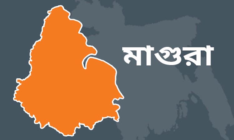 মাগুরার ১১ প্রার্থীর আটজনই হারালেন জামানত