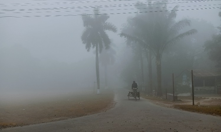 ঠান্ডা বাতাস আর কুয়াশায় থমকে গেছে জনজীবন