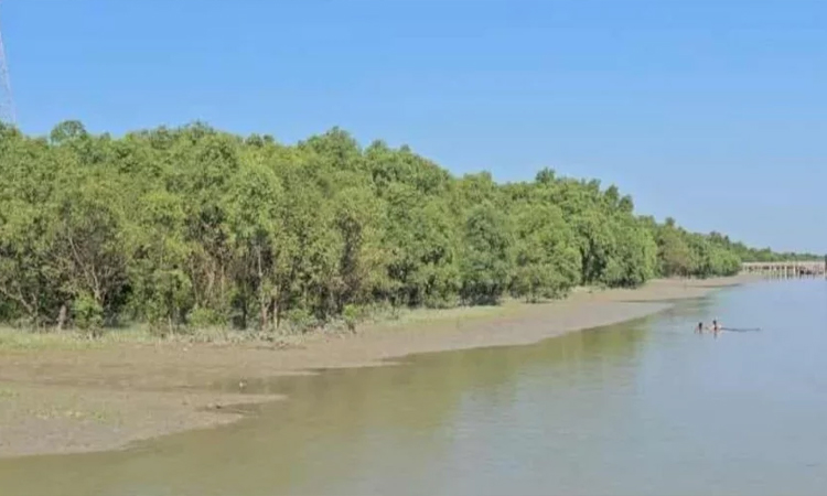 এবার মর্টার শেলে কাঁপল টেকনাফ সীমান্ত
