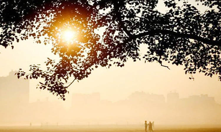 শৈত্যপ্রবাহের সঙ্গে শীত কমে বাড়বে তাপমাত্রা