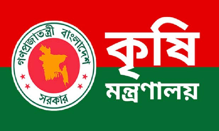 পাট চাষ ও উৎপাদন বাড়াতে প্রণোদনা ঘোষণা কৃষি মন্ত্রণালয়ের