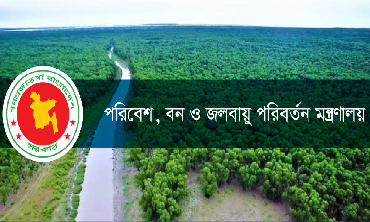 সুন্দরবনের আগুন নিয়ন্ত্রণে: বন মন্ত্রণালয়