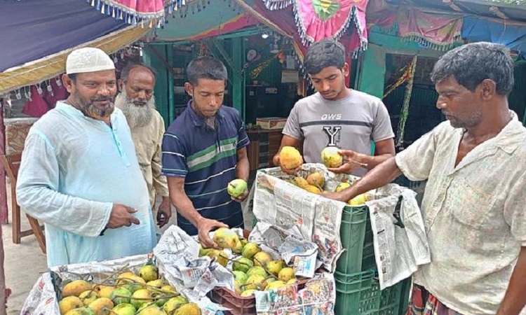 চুয়াডাঙ্গায় আমের ‘চড়া’ দাম