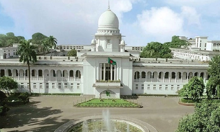 যশোর-নড়াইল মহাসড়কে গাছ না কাটতে আপাতত স্থিতাবস্থা