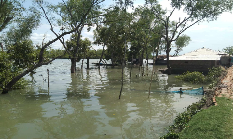 সাতক্ষীরায় কর্মকর্তাদের ছুটি বাতিল, কন্ট্রোল রুম চালু