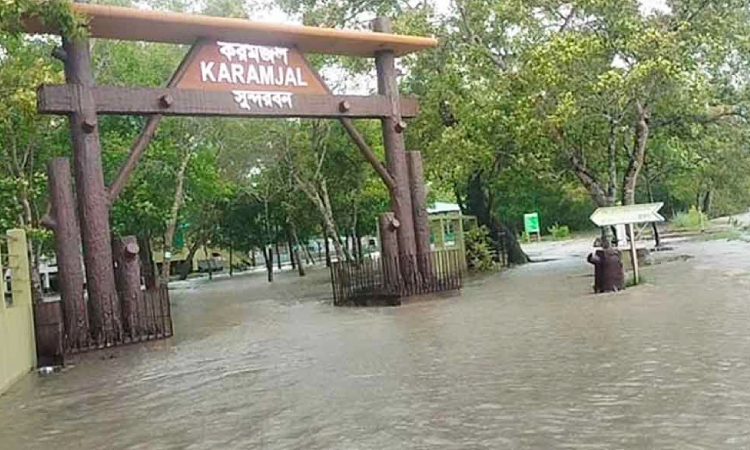 ঘূর্ণিঝড় রেমালের প্রভাবে তলিয়ে গেছে সুন্দরবন