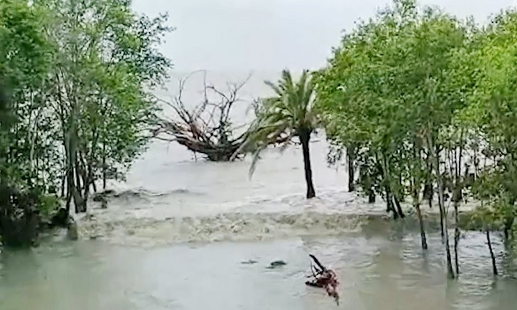 ঘূর্ণিঝড় রেমালের প্রভাবে ১০ ফুট পানির নিচে সুন্দরবন