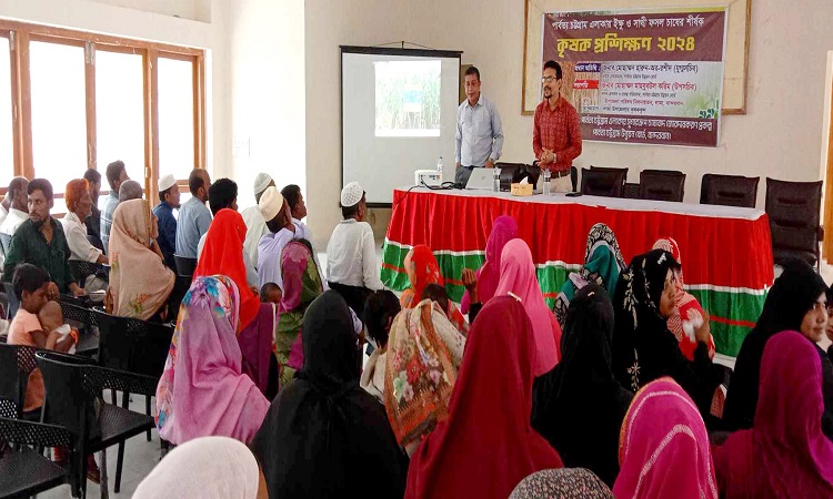 লামায় ইক্ষু, সাথী ফসল ও উন্নত পদ্ধতিতে গুড় উৎপাদনে কৃষক প্রশিক্ষণ