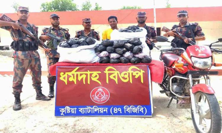 দৌলতপুর সীমান্তে ভারতীয় আতশবাজি সহ আটক ১
