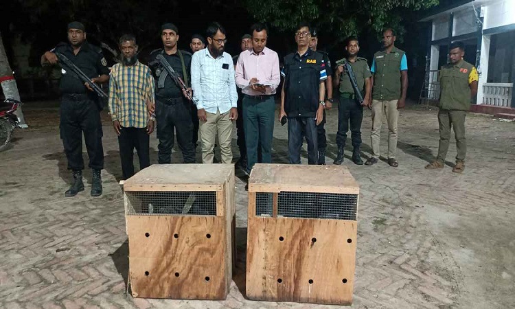 মেহেরপুরে ৮ লাখ টাকা মূল্যের বিদেশি পাখি উদ্ধার