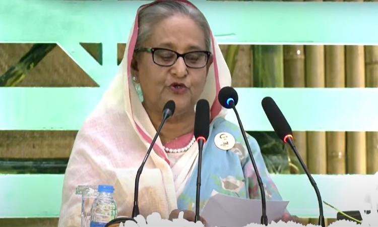 জলবায়ু পরিবর্তনে বনায়নে আরও উদ্যোগ নিতে হবে: প্রধানমন্ত্রী