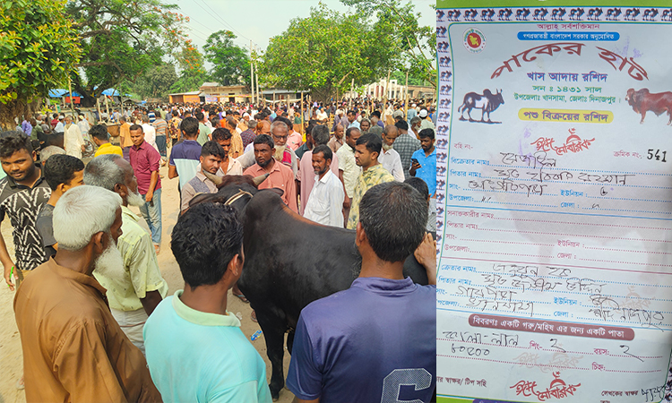 খানসামায় পশুর হাটে অতিরিক্ত খাজনা আদায়, ক্রেতা-বিক্রেতাদের ক্ষোভ