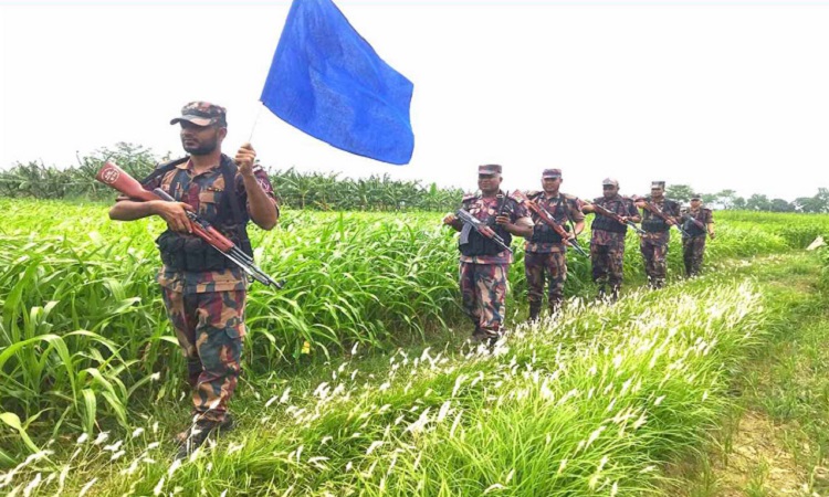 চামড়া পাচার রোধে দৌলতপুর সীমান্তে বিজিবি সতর্ক অবস্থায়