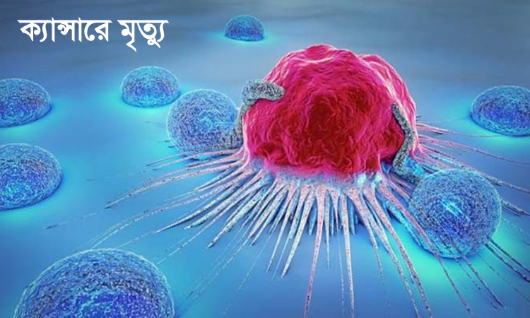 ক্যান্সারে আক্রান্ত হয়ে না ফেরার দেশে কুবি শিক্ষার্থী