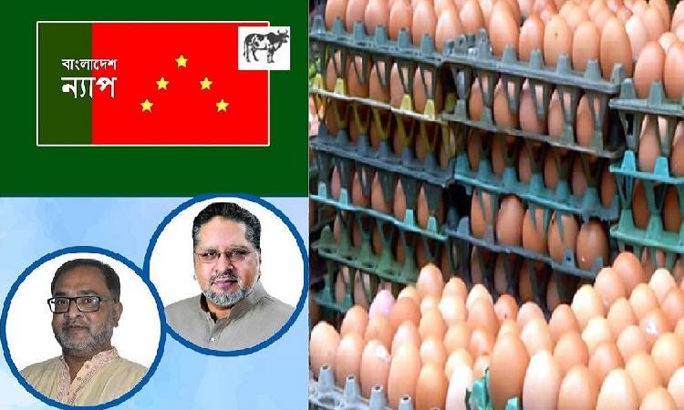 ডিমের বাজারও সিন্ডিকেটের কালো থাবায় ক্ষত বিক্ষত: বাংলাদেশ ন্যাপ