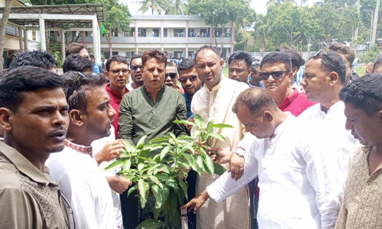 নড়াইলে জেলা যুবলীগের বৃক্ষরোপণ কর্মসূচির উদ্বোধন