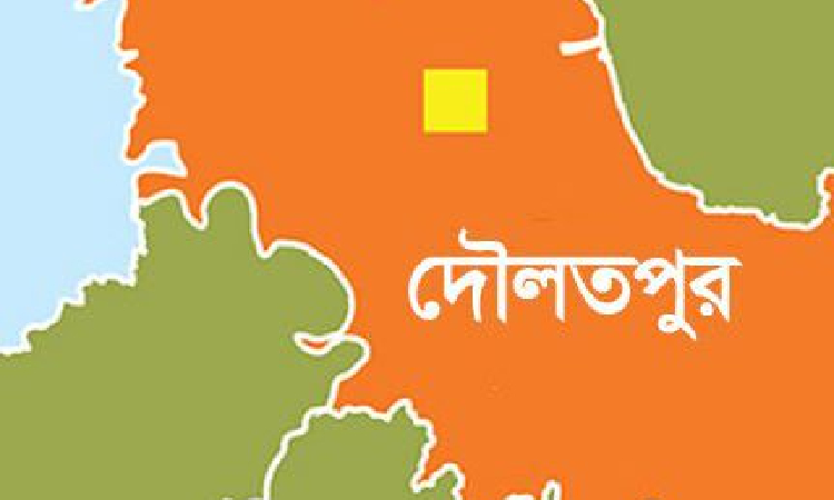 দৌলতপুরে মারা পড়েছে ১৪টি বিষাক্ত গোখরা সাপ