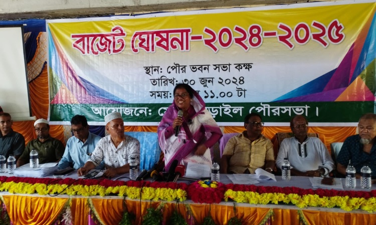 নড়াইল পৌরসভার ২০২৪-২৫ অর্থবছরের বাজেট ঘোষণা