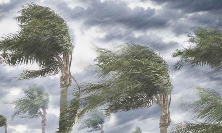 ঢাকাসহ ৮ অঞ্চলে ভারী অথবা বজ্রসহ বৃষ্টির আভাস