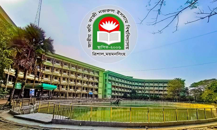 বৈষম্যবিরোধী ছাত্রসমাজের ব্যানারে বিভক্ত কবি নজরুল বিশ্ববিদ্যালয়ের শিক্ষার্থীরা