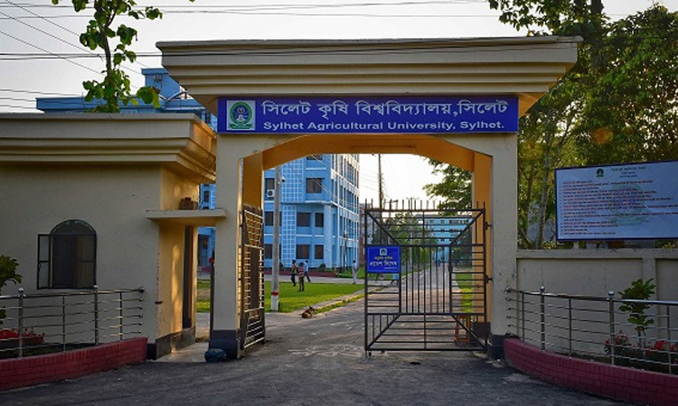 সিলেট কৃষি বিশ্ববিদ্যালয়ে রাজনীতি নিষিদ্ধ