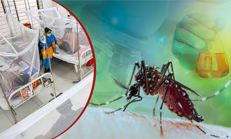 ডেঙ্গুতে আরও ১ জনের মৃত্যু, হাসপাতালে ৬৬৪