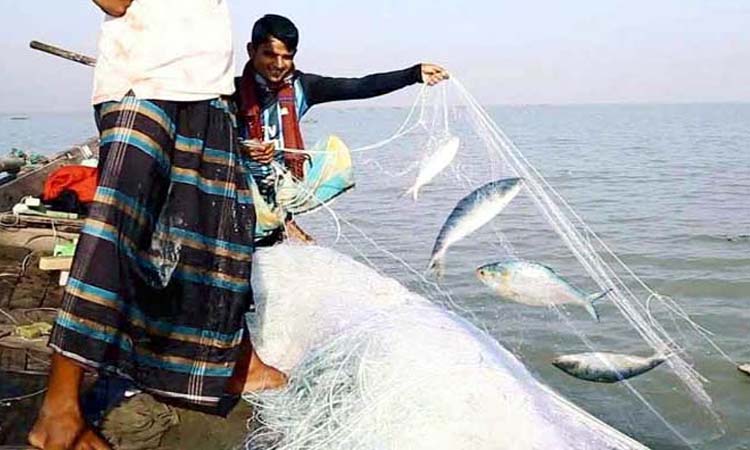 ৪ অক্টোবর থেকে ২২ দিন ইলিশ ধরা-বিক্রি নিষেধ