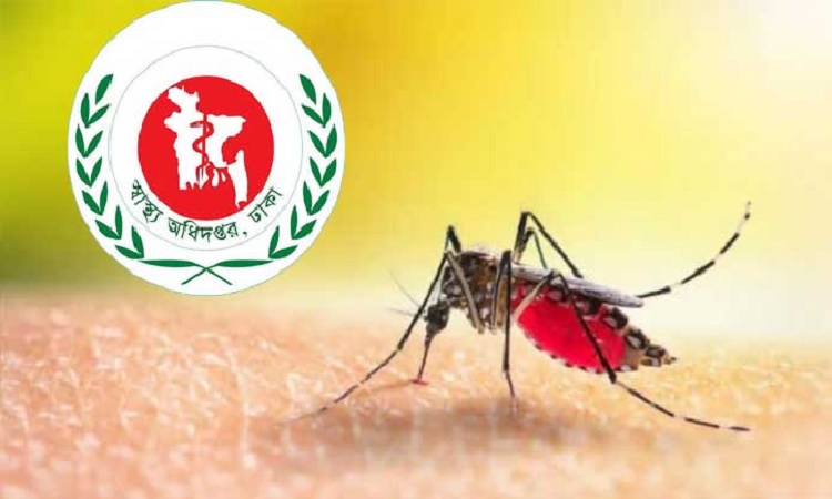 ডেঙ্গুতে একদিনে ৩ মৃত্যু, হাসপাতালে ভর্তি ৭৩৫