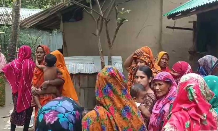 চুয়াডাঙ্গা সীমান্ত থেকে এক বাংলাদেশিকে ধরে নিয়ে গিয়েছে বিএসএফ