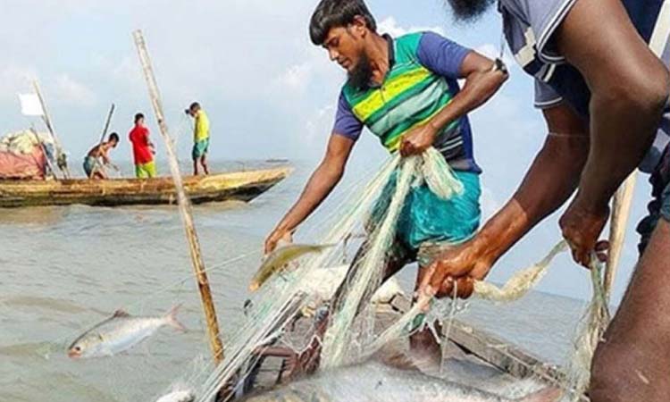 মধ্যরাত থেকে ২২ দিন ইলিশ ধরা বন্ধ