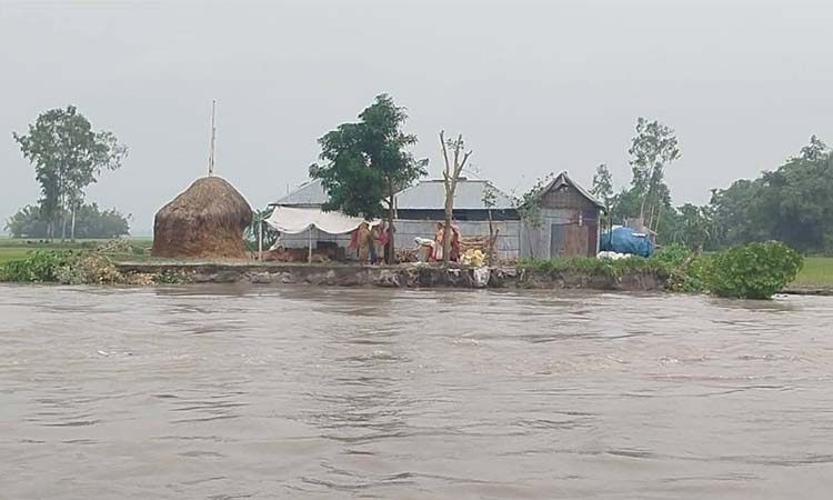 তিস্তার আগ্রাসী রূপ, পানিবন্দি মানুষের নির্ঘুম রাত