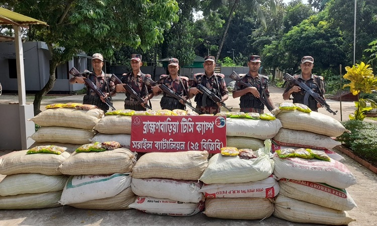 বিপুল পরিমাণ মালিকবিহীন চোরাচালানী মালামাল ও মাদকদ্রব্য আটক