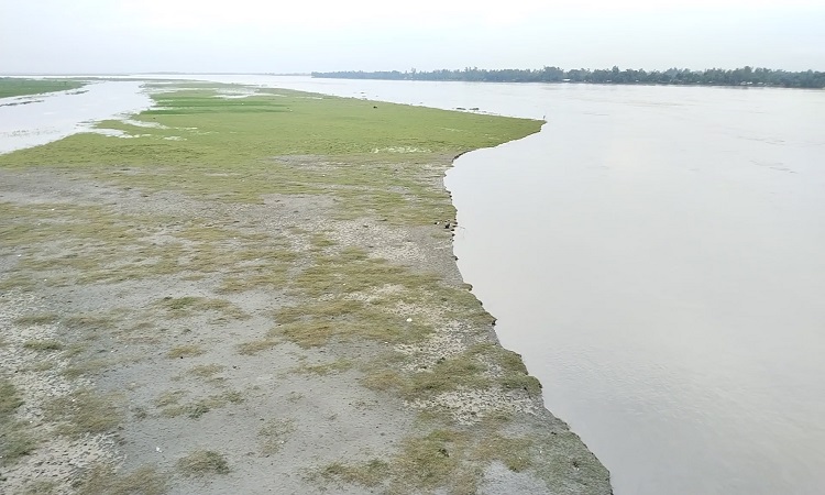 কমছে পানি, ভাঙন আতঙ্কে তিস্তা তীরবর্তী বাসিন্দারা