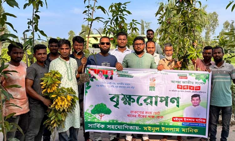 চিলমারী-মওলানা ভাসানী সেতু সড়কে বৃক্ষরোপণ