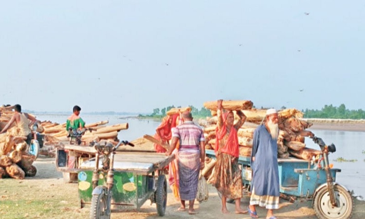 তিস্তাপারে ভাঙন শুরু, পানি নামলেও দুর্ভোগ কমেনি