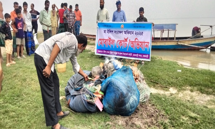 নিষেধাজ্ঞা অমান্য করে ইলিশ শিকার, ১৬ জেলেকে কারাদণ্ড