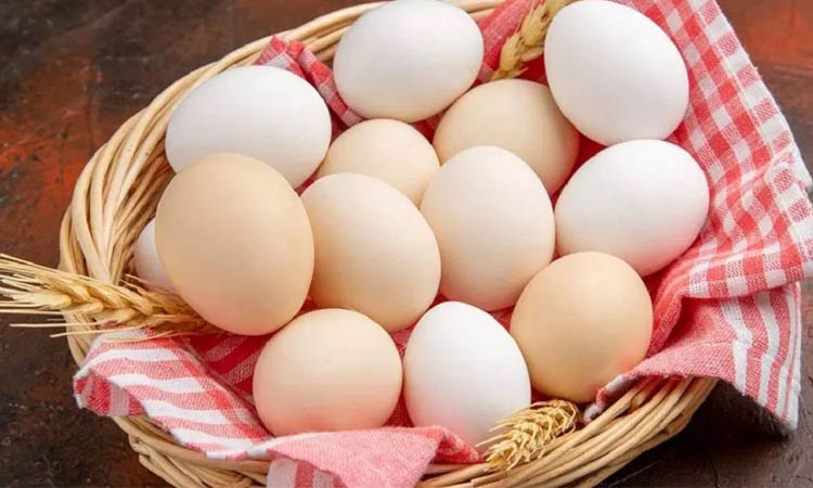 বিশ্ব ডিম দিবস আজ